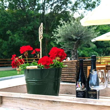 Alloggio per agriturismo Agli Ulivi *